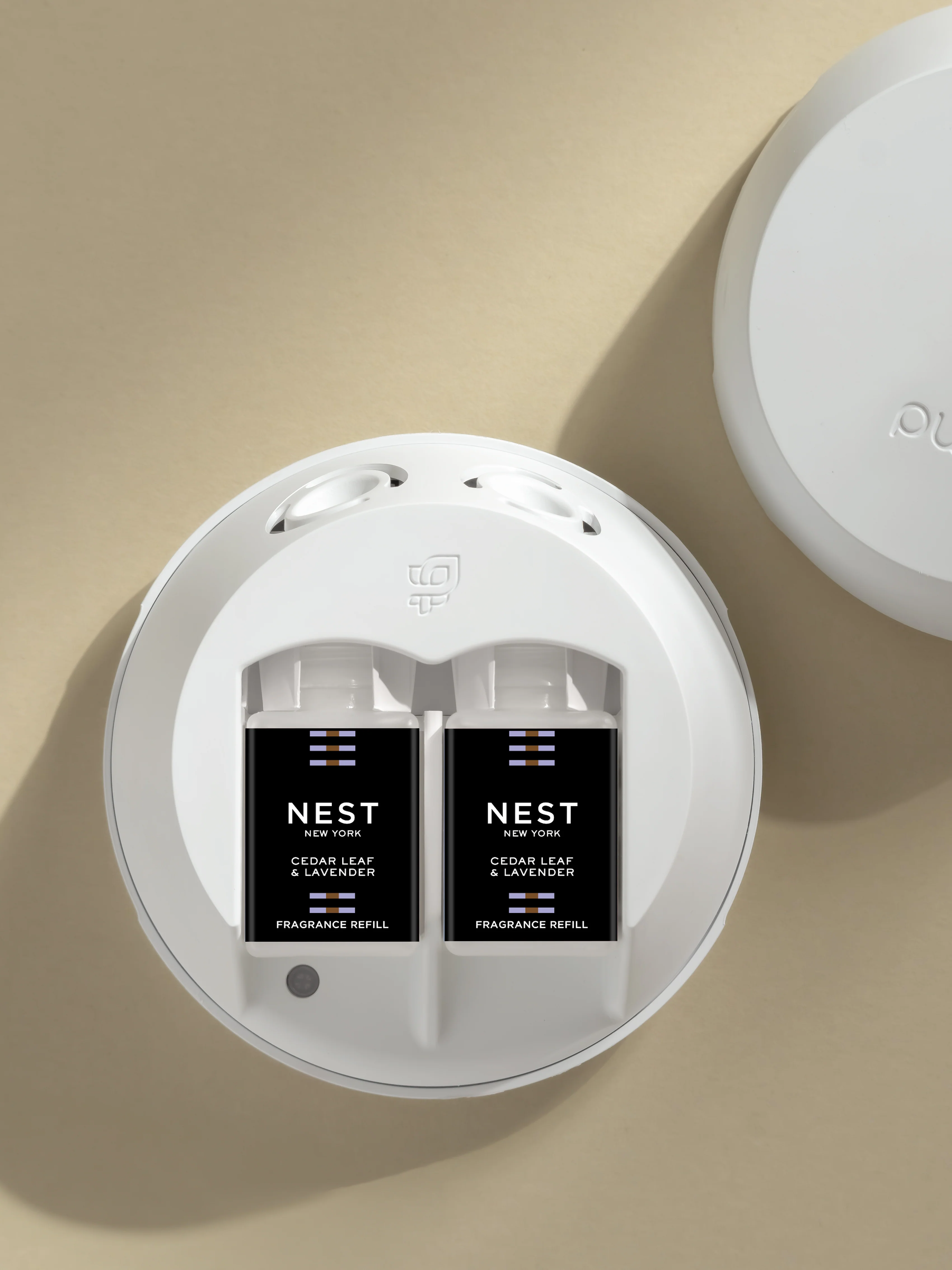 Cedar Leaf & Lavender - Image 3