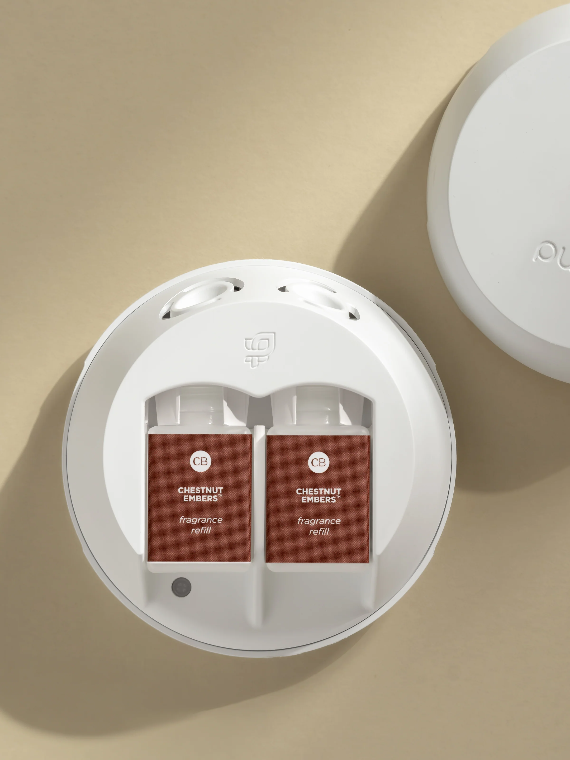 Chestnut Embers - Image 3