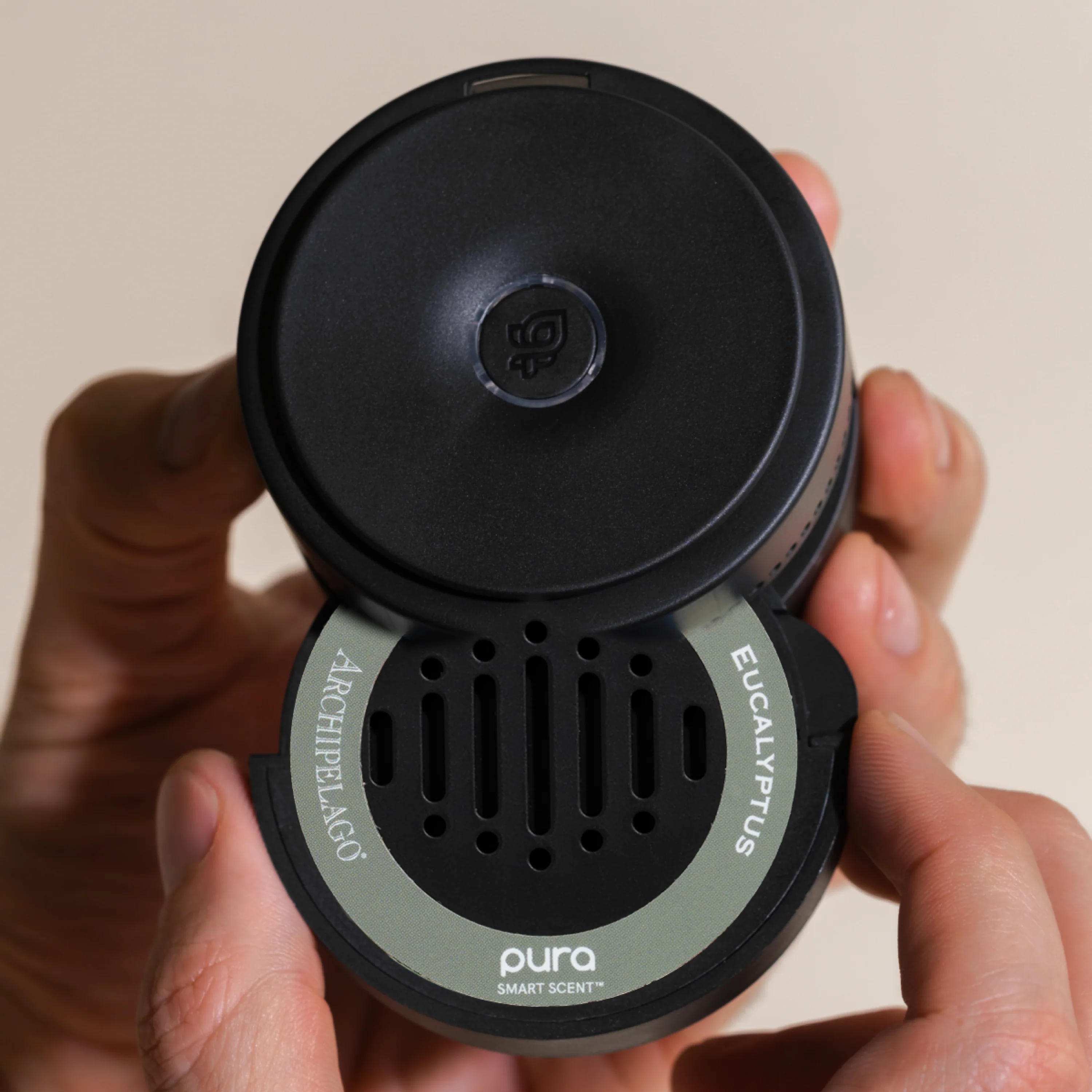 Eucalyptus - Image 3