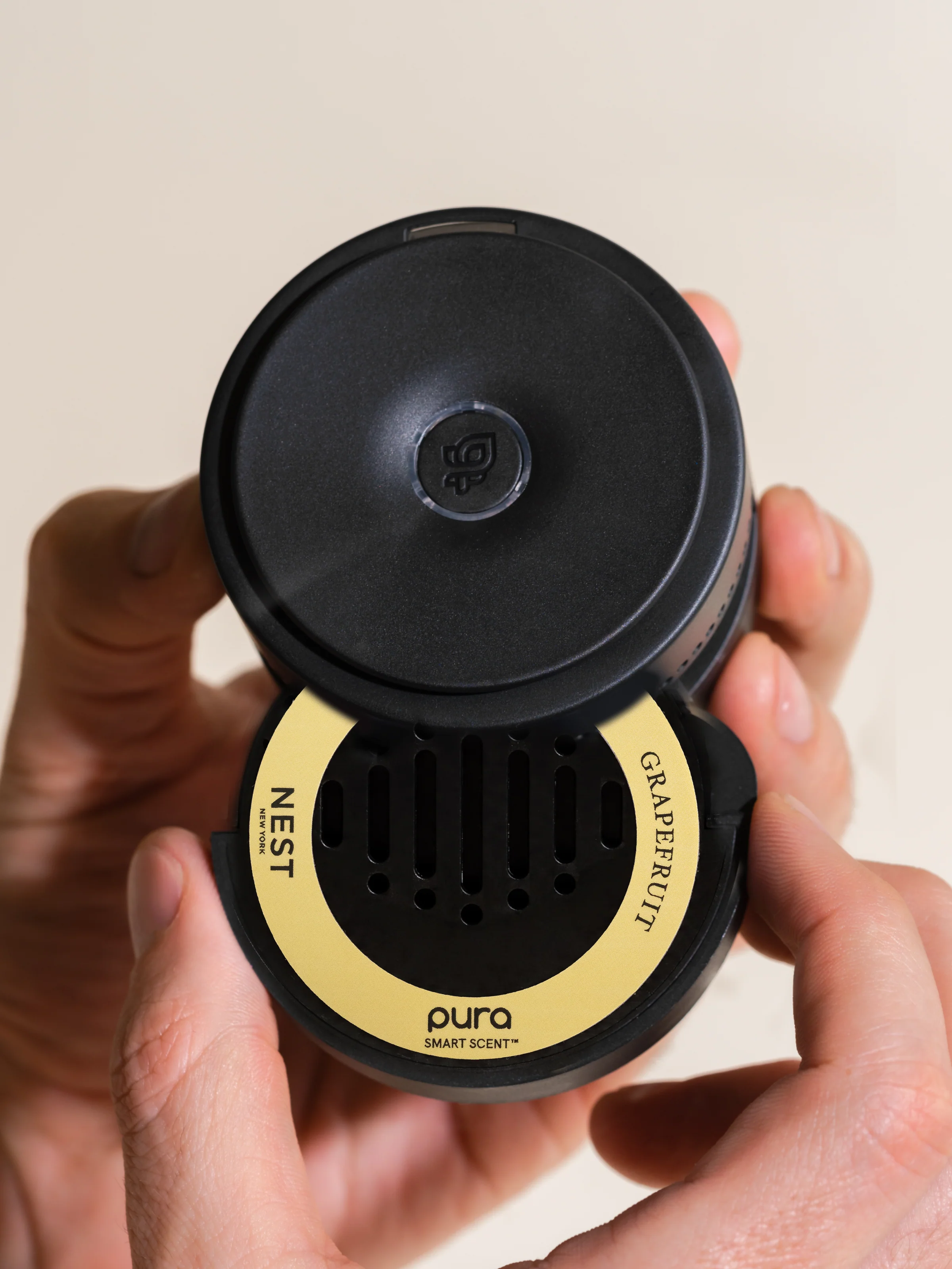 Grapefruit - Image 3