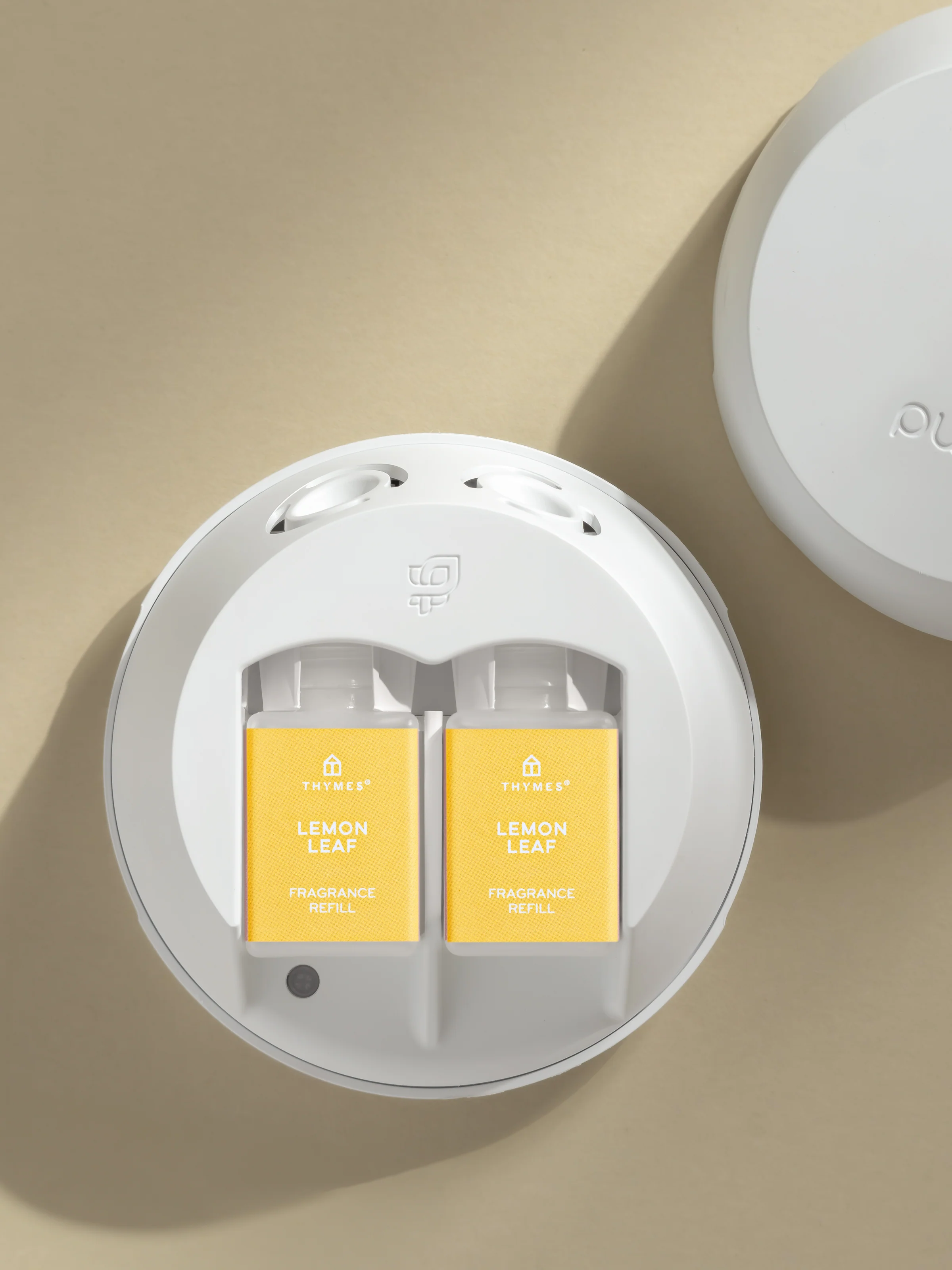 Lemon Leaf - Image 3