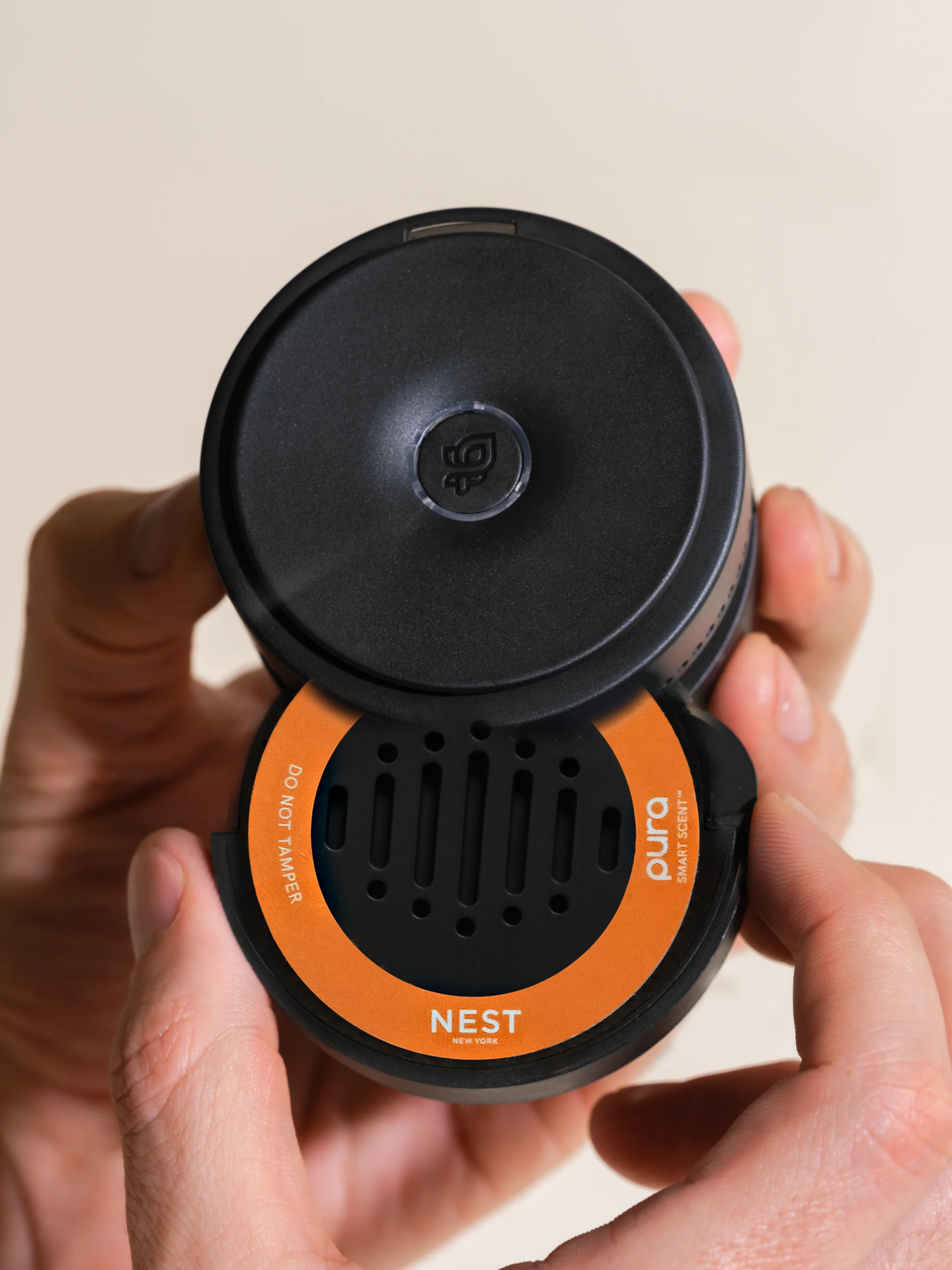 Pumpkin Chai - Image 3