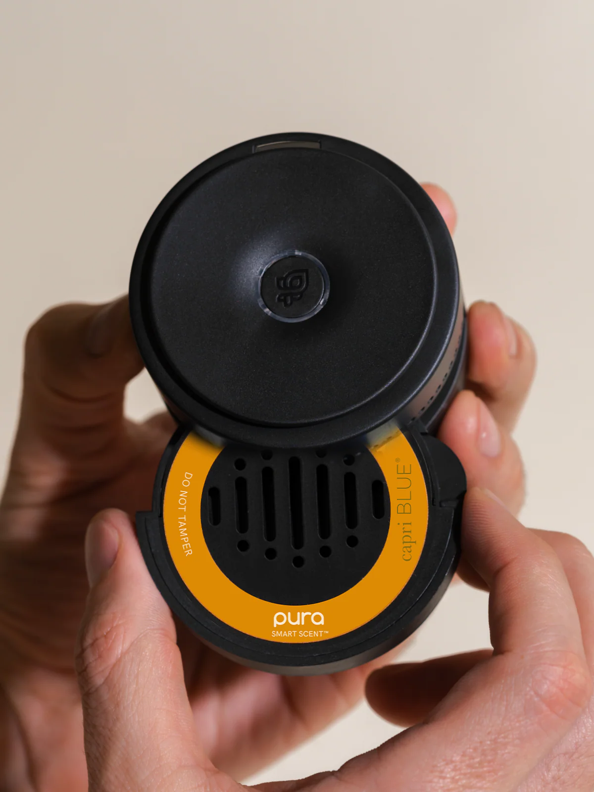 Pumpkin Dulce - Image 3