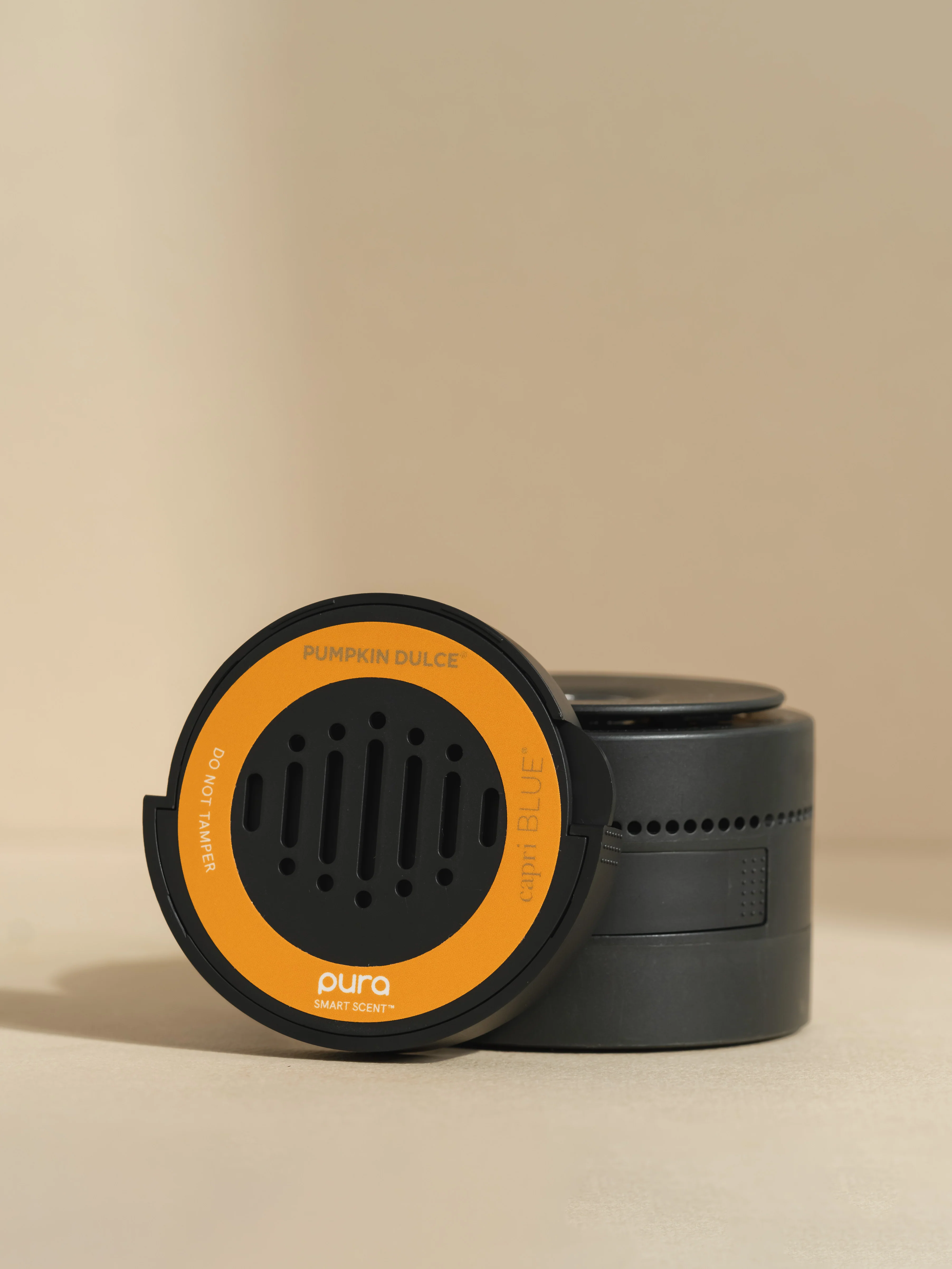 Pumpkin Dulce - Image 4