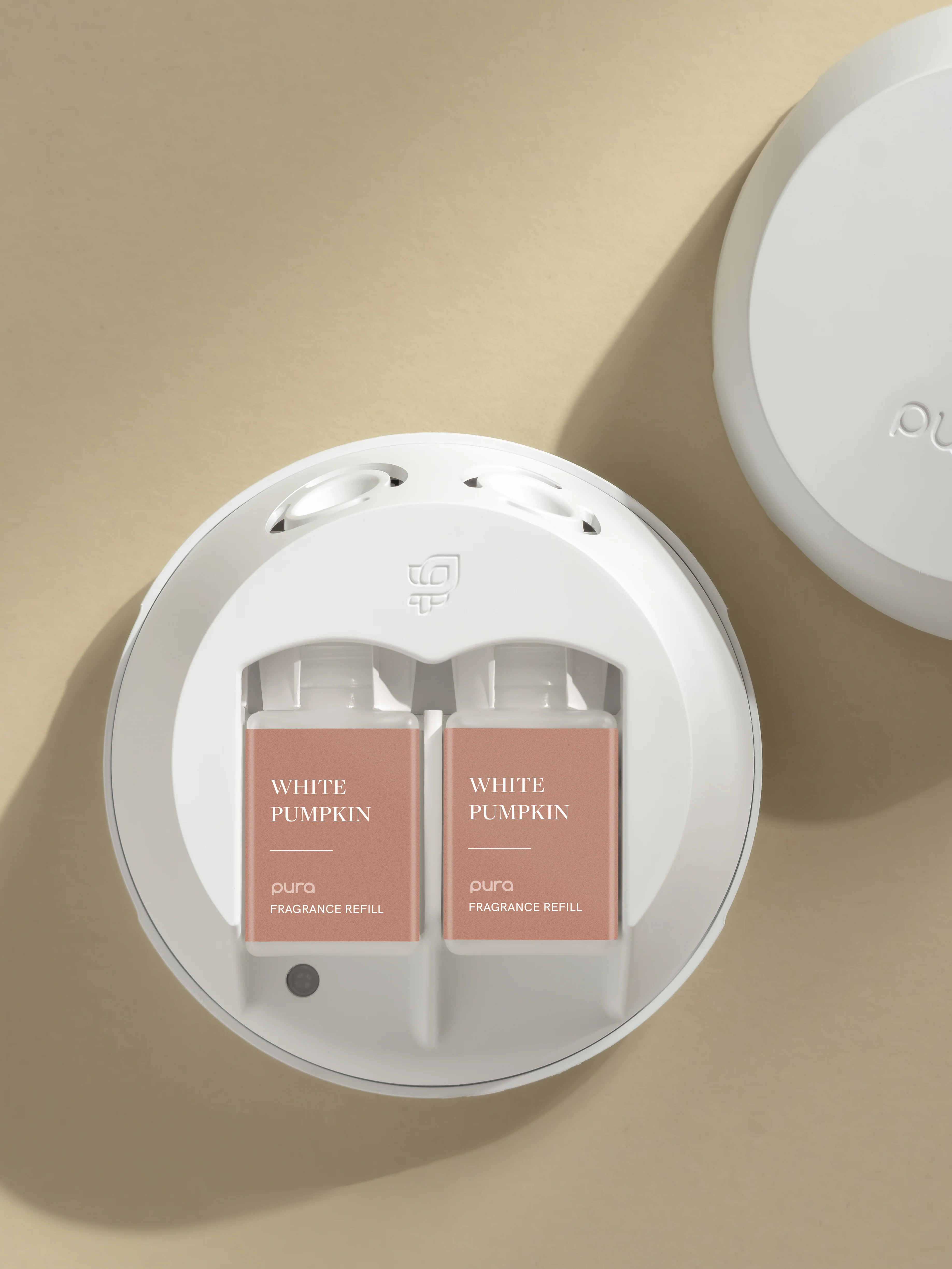 White Pumpkin - Image 3