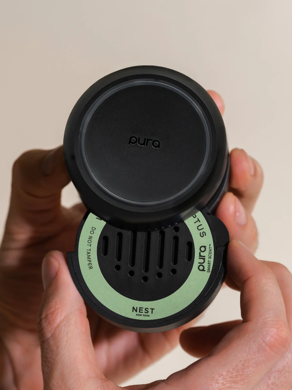 Wild Mint & Eucalyptus - Image 3